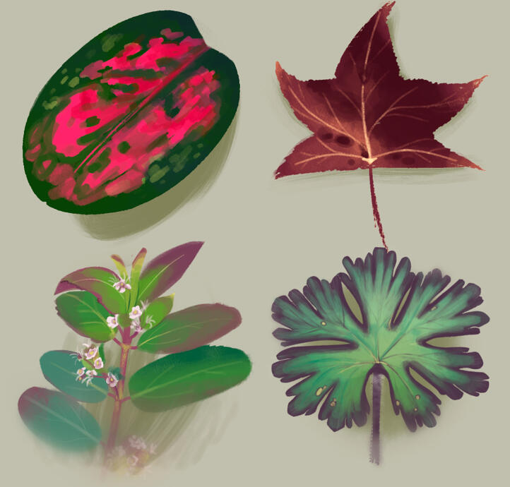 Colorful painted leaf portraits